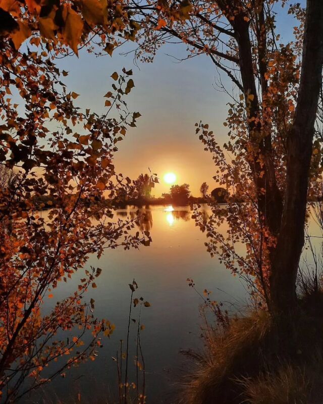 👉 @aralleida recommends: "Lo Pantano" in Anglesola is a natural haven of peace in 📍L'URGELL. The surrounding trails are the perfect place to enjoy a peaceful stroll ✨ and reconnect with nature and our LleidaDNA 🦋💚🌍
📌Anglesola, l’Urgell
ℹ️ @turismeurgell @aralleida
#inLOVEwithCatalonia #CatalunyaExperience #Catalonia #Catalunya #BiosphereGoldDestination #Urgell #Anglesola #terresdelleida